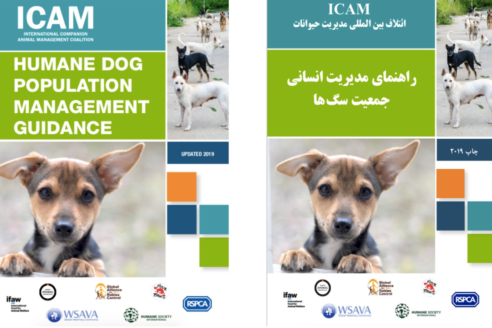Promoting humane dog population management – International guidance on humane dog population management was translated into Farsi
