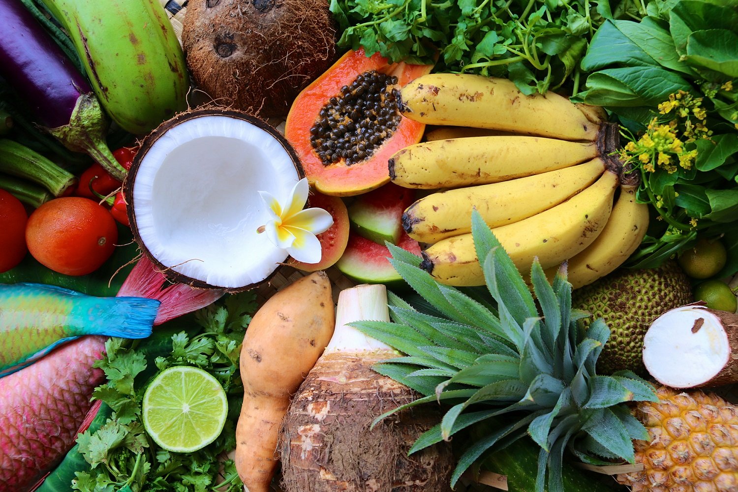 mixed-fruits-fish-vegetables