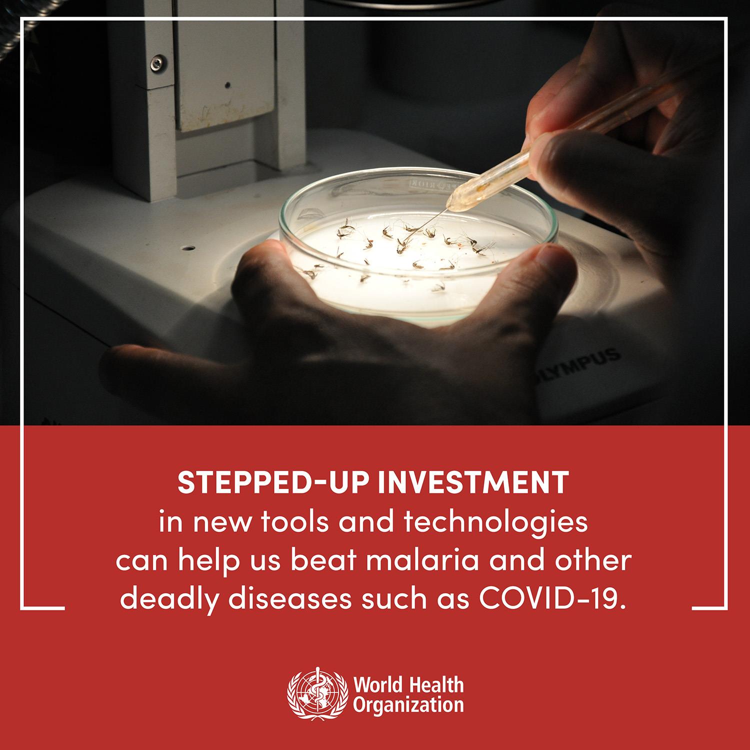 malaria-covid-19-investment-eng