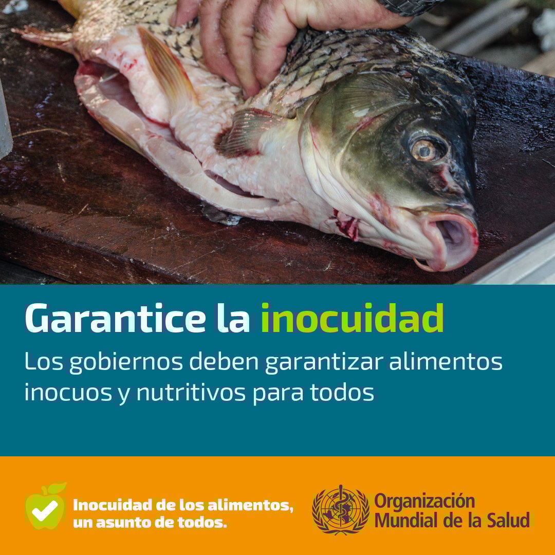 WHO-Ensure-its-Safe-1080x1080px-SPA_final