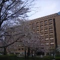 JPN-50_building_spring